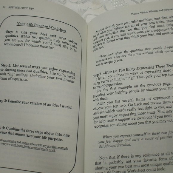 Are You Fired Up MOTIVATION book - Picture 4 of 6